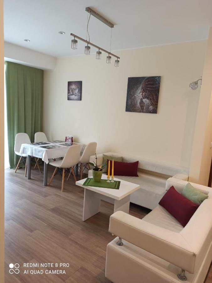 Nelli apartamentai Druskininkai Esterno foto